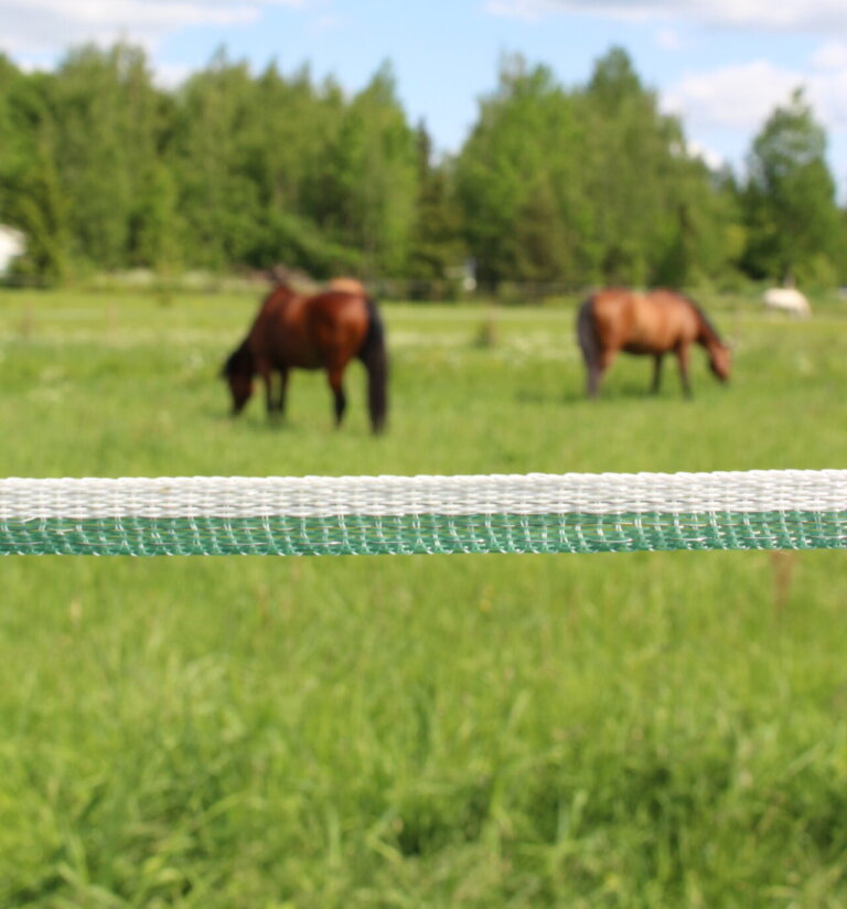 Green-and-white Fence Tape