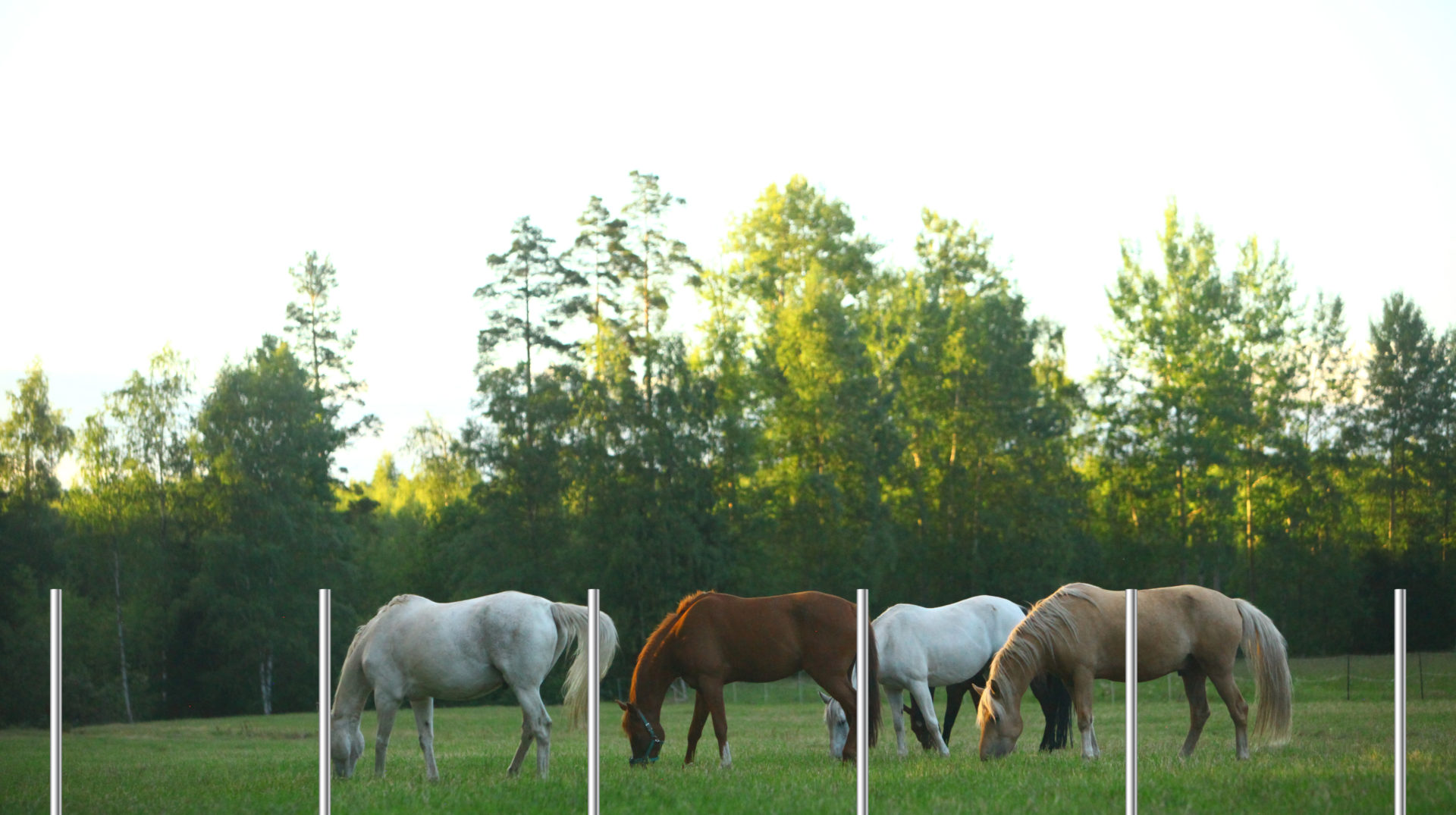 Vaakajänniteaidat