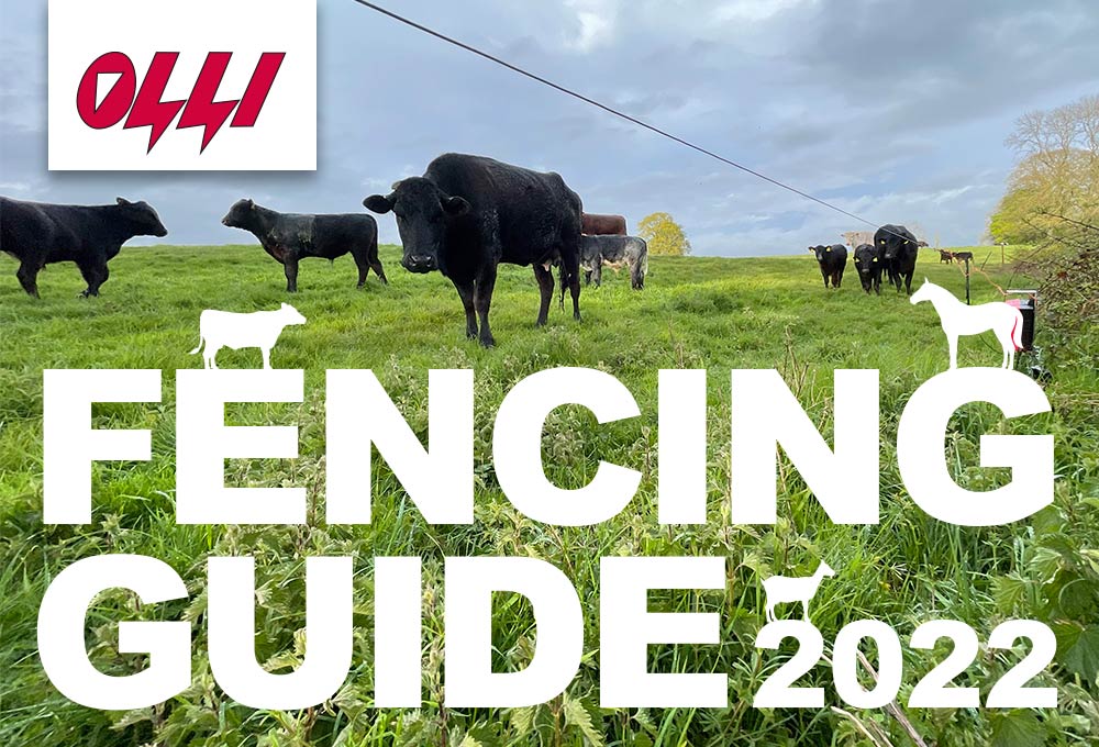 Olli Fencing Guide Cover