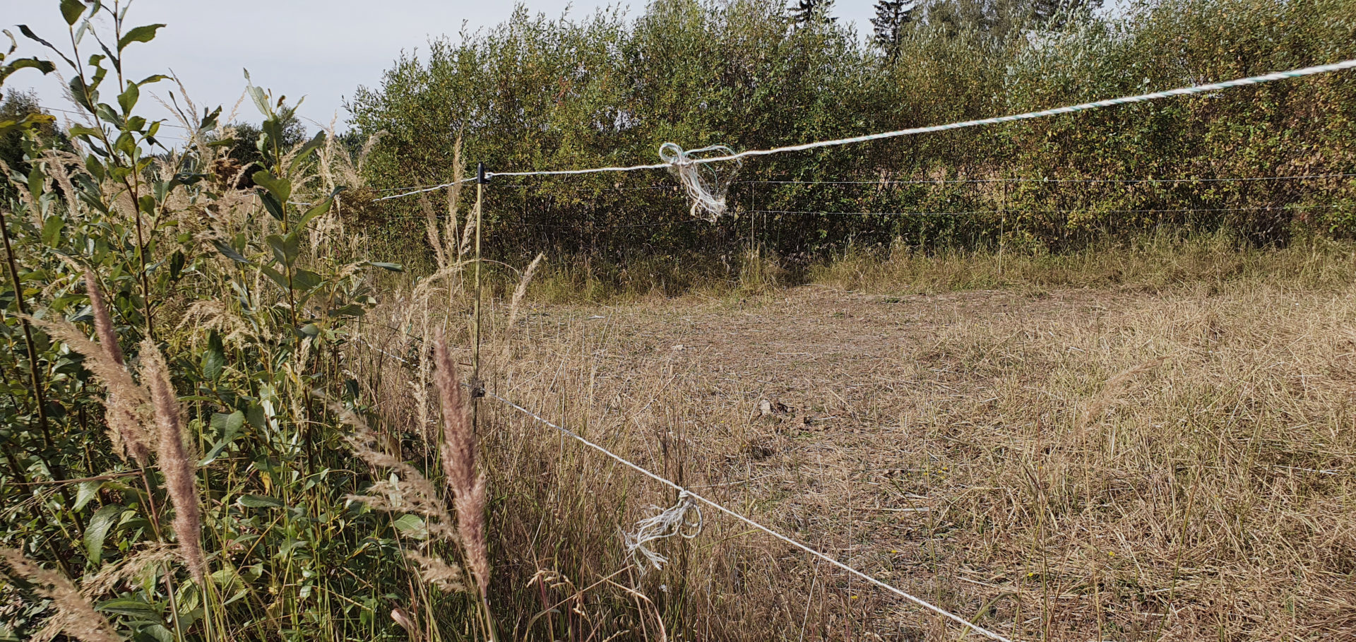 Determining the condition of an electric fence in the picture shows bad connections in the fence wire